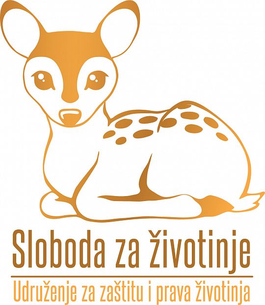 Serbiaszz-logo-printing-resolution.jpeg