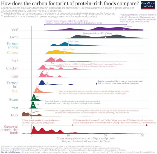 graphicGHG-emissionsfoodproducts-1666737339.png